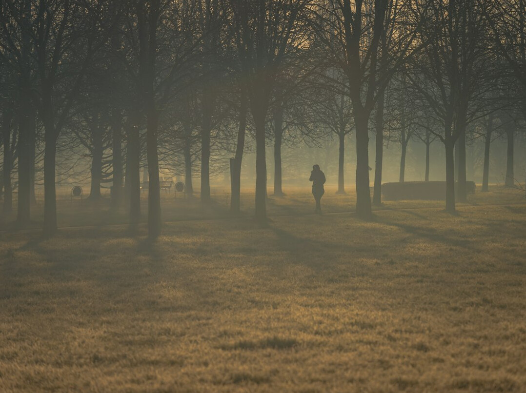 person walking in park at dawn